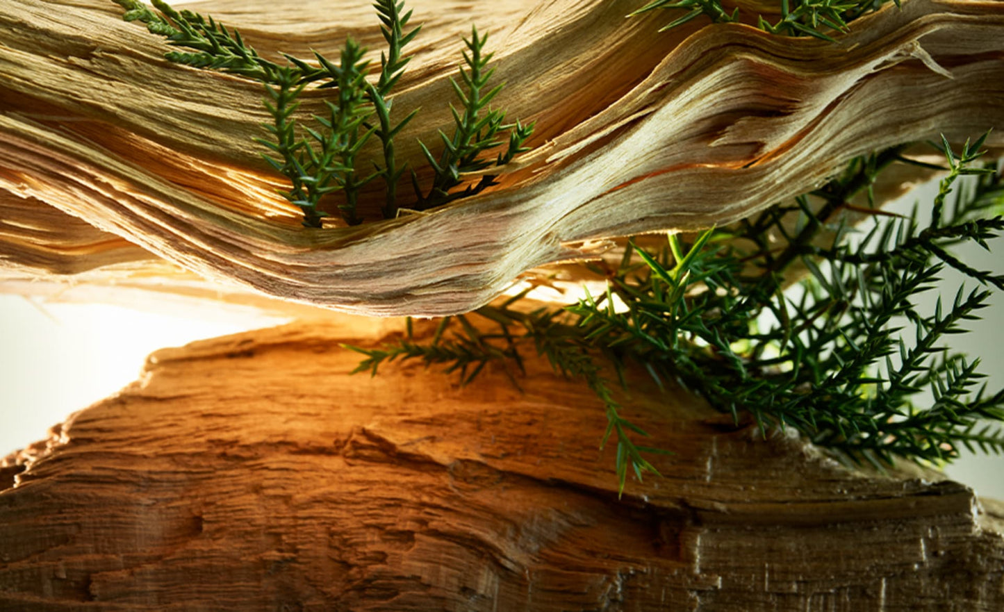 Wood Essence Eau de Parfum