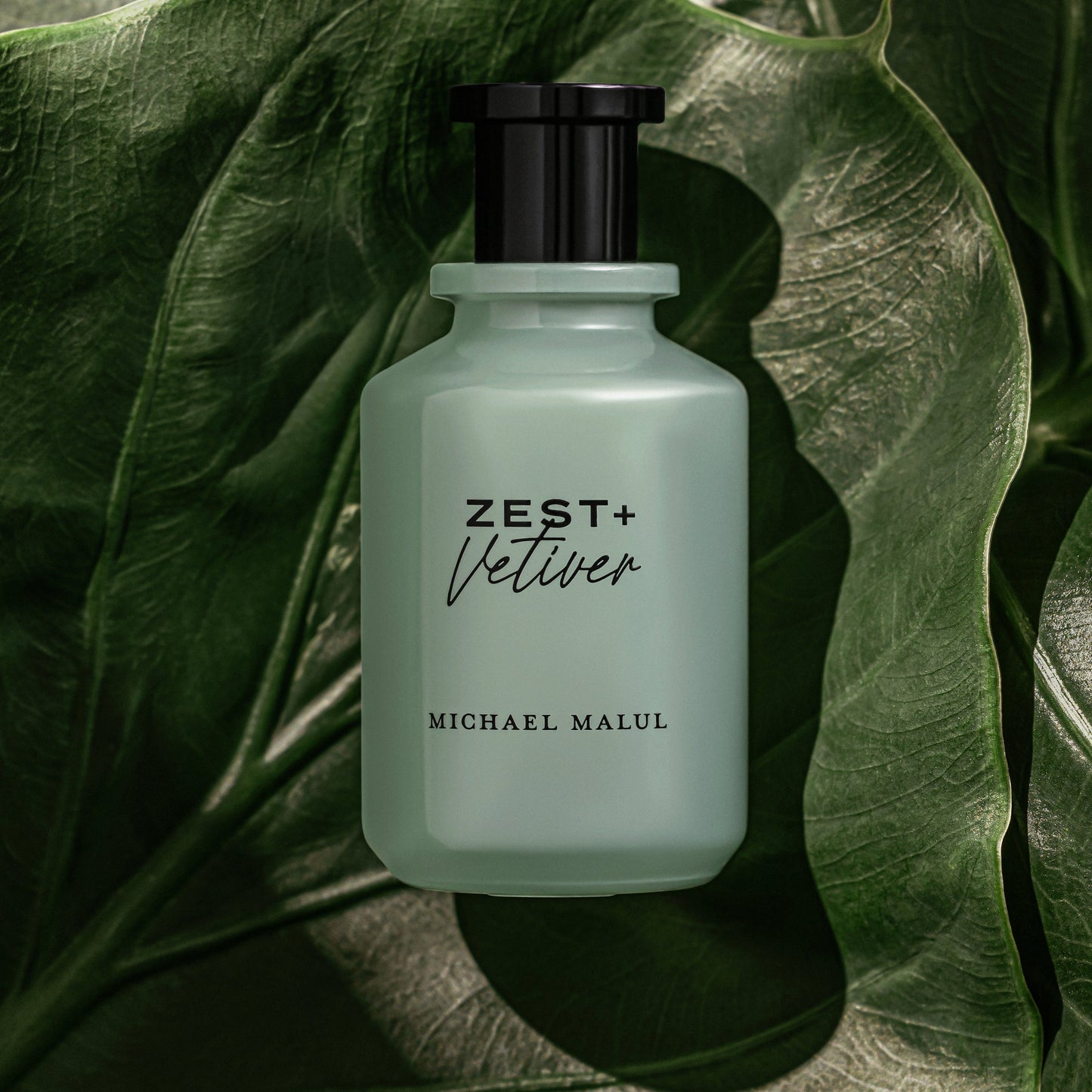Zest + Vetiver Eau de Parfum