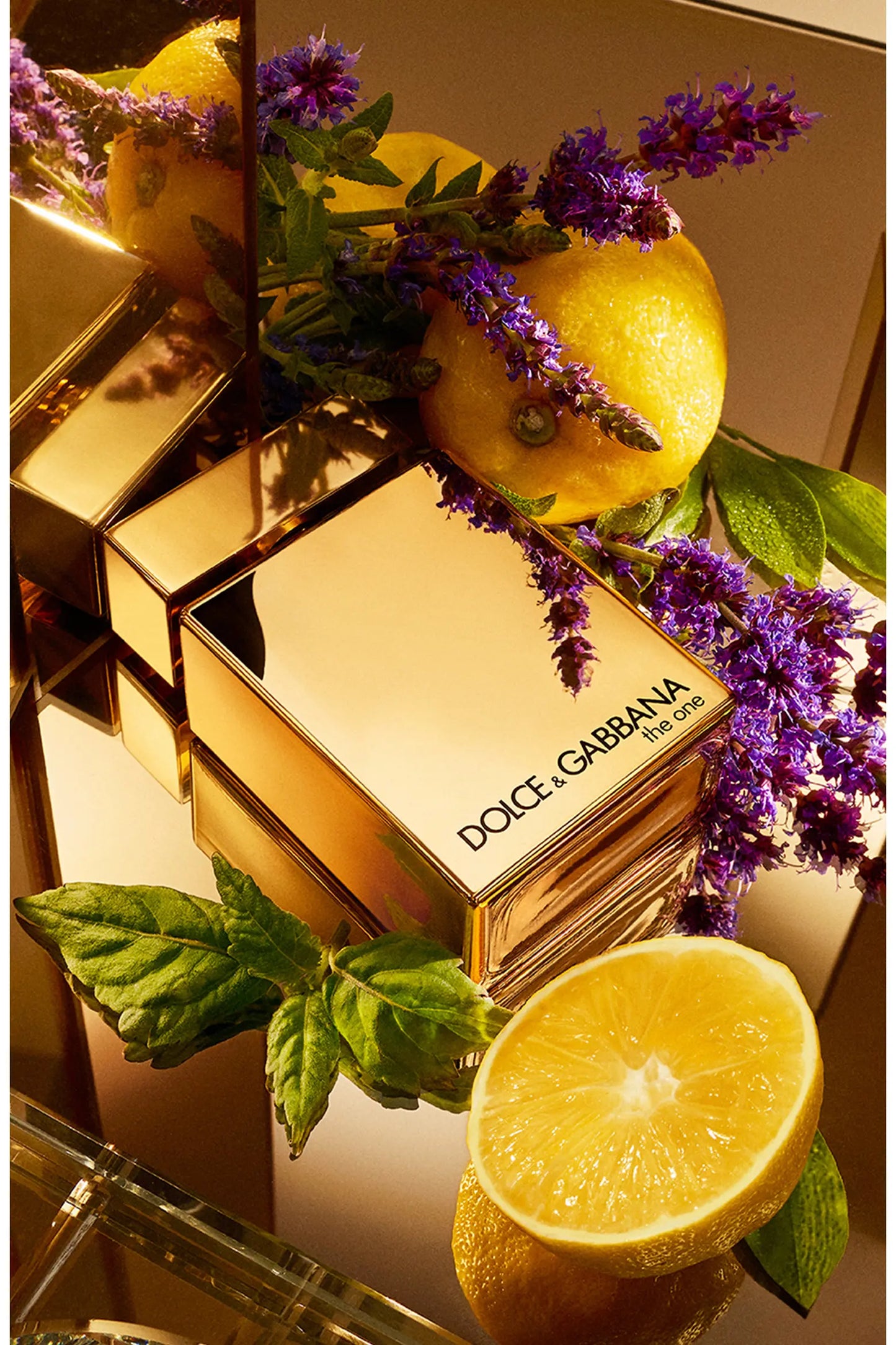The One Gold Edition for Men Eau de Parfum Intense